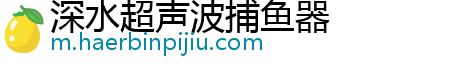 深水超声波捕鱼器